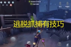 去大理郝云是谁 郝云家暴妻子王珊珊是真的